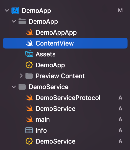 Structure of the Xcode project